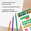 Карандаши цветные BRAUBERG KIDS NEW, 24 цвета, трехгранные, грифель 3 мм, 182002