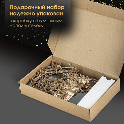 Ручка перьевая PARKER "Jotter Core Stainless Steel GT", ежедневник А5 черный, пакет, 880902