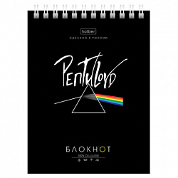Блокнот МАЛЫЙ ФОРМАТ А6, 40 л., гребень, картон, клетка, HATBER, "Проект "Капланопись", 090639, 40Б6В1гр