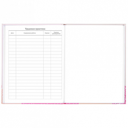 Дневник 5-11 класс 48 л., твердый, BRAUBERG, глянцевая ламинация, с подсказом, "Летний", 106631