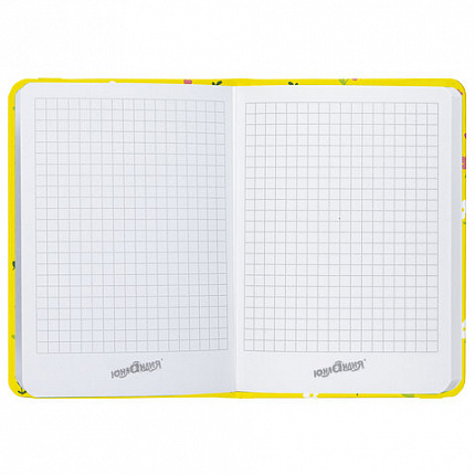 Блокнот с резинкой в клетку 96 л., МАЛЫЙ ФОРМАТ А6 (109х148 мм), твердая обложка, ЮНЛАНДИЯ, "Авокадо", 113745