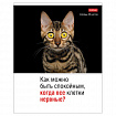 Тетрадь А5 48 л., HATBER скоба, клетка, обложка картон, "Котоюмор" (микс в спайке), 079790, 48Т5В1
