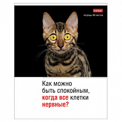 Тетрадь А5 48 л., HATBER скоба, клетка, обложка картон, "Котоюмор" (микс в спайке), 079790, 48Т5В1