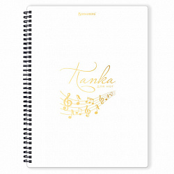 Папка-тетрадь для нот А4, 20 вкладышей на 40 страниц, на гребне, пластик, БЕЛАЯ, BRAUBERG, 404644