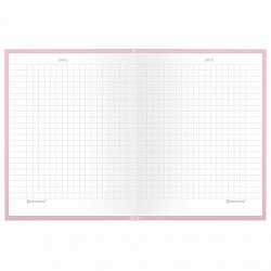 Блокнот МАЛЫЙ ФОРМАТ 110х147 мм, А6, 80 л., твердый, клетка, BRAUBERG "Minimal", розовый, 116449