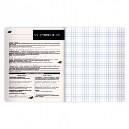Тетрадь предметная КОТ-НЕПОСЕДА 48л, пластиковая обложка, ОБЩЕСТВОЗНАНИЕ, клетка, подсказ, BRAUBERG, 405528