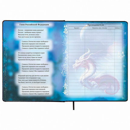 Дневник 1-11 класс 48 л., кожзам (твердая с поролоном), печать, цветной блок, BRAUBERG, "Ниндзя", 106950