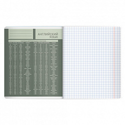 Тетрадь предметная MonoPastel 48 л., пластиковая обложка, АНГЛИЙСКИЙ ЯЗЫК, клетка, подсказ, BRAUBERG, 405503