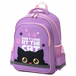 Рюкзак ПИФАГОР SCHOOL, 1 отделение, 3 кармана, "Observer cat", 38x28х14 см, 274437