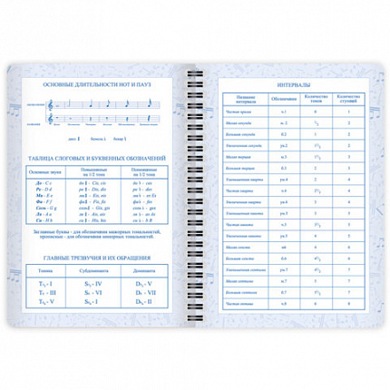 Дневник для музыкальной школы 48 листов, гребень, пластиковая обложка, картон, BRAUBERG, "МИКС", 107519