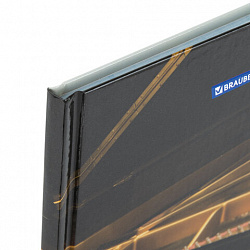 Дневник для музыкальной школы 140х210 мм, 48 л., твердый, BRAUBERG, справочный материал, "Концерт", 103279