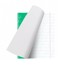 Тетрадь 12 л. BRAUBERG ЭКО "5-КА", косая линия, обложка картон 170 г/м2, ЗЕЛЕНАЯ, 104762