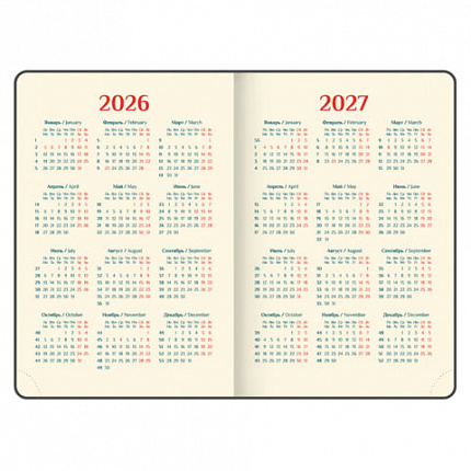 Ежедневник датированный 2026 А5 148х218 мм, GALANT "Infinity Silver", под кожу, серый, 117499