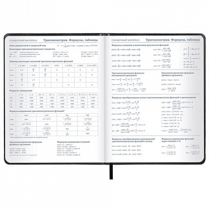 Дневник 1-11 класс 48 л., кожзам (твердая с поролоном), нашивка, BRAUBERG IGUANA, черный, 107225