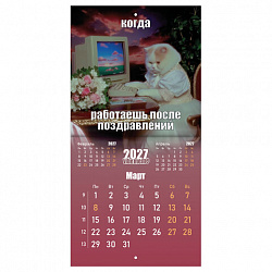 Календарь настенный перекидной 2027 г., BRAUBERG, 12 листов, 21,4х42,8 см, МИНИ, "Vibe meme", 118438
