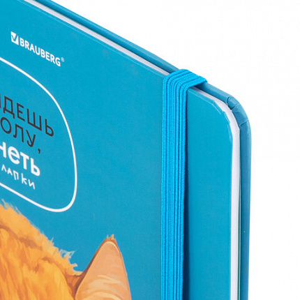 Дневник 1-11 класс 48 л., твердый, BRAUBERG, матовая ламинация, резинка, закладка-ляссе, с подсказом, "Котик", 107239