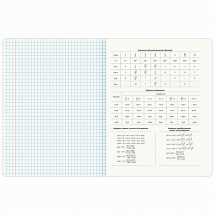 Тетради предметные, КОМПЛЕКТ 12 ПРЕДМЕТОВ, 48 л., TWIN-лак, BRAUBERG, "DOG БОБИК", 404840