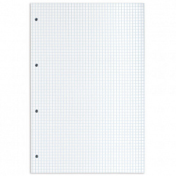 Сменный блок к тетради на кольцах БОЛЬШОГО ФОРМАТА А4, 120 л., BRAUBERG, Белый, 404518