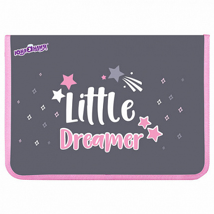 Папка для труда на молнии ЮНЛАНДИЯ А4, 1 отделение, откидная планка, органайзер, "Anime dreamer", 273393