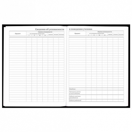 Дневник 5-11 класс 48 л., твердый, BRAUBERG, матовая ламинация, с подсказом, "Гитара", 107185