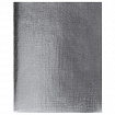 Тетрадь бумвинил А5 48 л., скоба, офсет №1, клетка, с полями, СЕРЕБРО, "Metallic", HATBER, 058960, 48Т5бвВ1