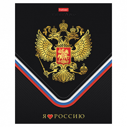 Тетрадь А5 48 л., HATBER, скоба, клетка, матовая ламинация, 3D-фольга, 3D-лак, Россия (микс), 093210, 48Т5лофлВ1