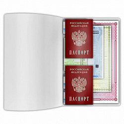 Папка-органайзер, обложка семейная для 1-го комплекта документов, А4, ПВХ, матовая, STAFF, 238337