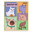 Тетради предметные, КОМПЛЕКТ 12 ПРЕДМЕТОВ, 48 л., TWIN-лак, FUNSTER (ФАНСТЕР), МЕМНЫЕ КОТЫ, 405604