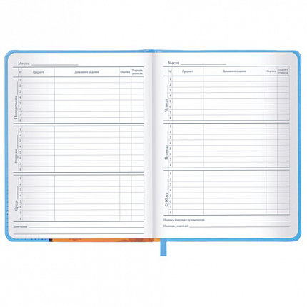 Дневник 1-11 класс 48 л., кожзам (твердая), печать, резинка, конверт, BRAUBERG, "Опять в школу", 107231