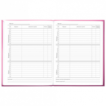 Дневник 5-11 класс 48 л., твердый, BRAUBERG, выборочный лак, с подсказом, "Brings Joy", 107194