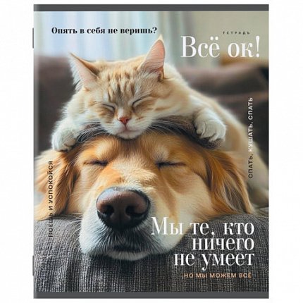 Тетрадь А5, 48 л., STAFF, скоба, клетка, офсет №2 ЭКОНОМ, обложка картон, КОТЫ_АССОРТИ, 405627