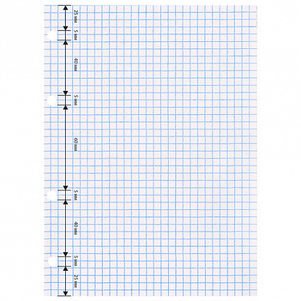 Сменный блок для тетради на кольцах, А5, 80 л., STAFF/BRAUBERG, "Белый", 401660