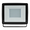 Прожектор светодиодный ЭРА, 100 (830) Вт, 6500 К, 8000 Лм, IP65, черный, LPR-023-0-65K-100, Б0052026