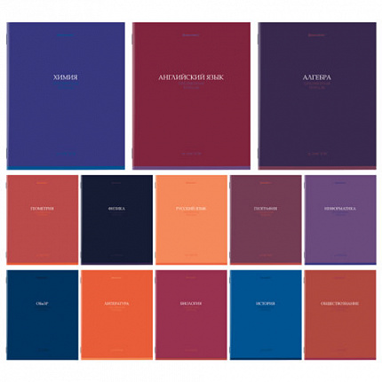 Тетради предметные, КОМПЛЕКТ 13 ПРЕДМЕТОВ, 36 л., обложка мелованная бумага, BRAUBERG, "КОЛОР", 405161