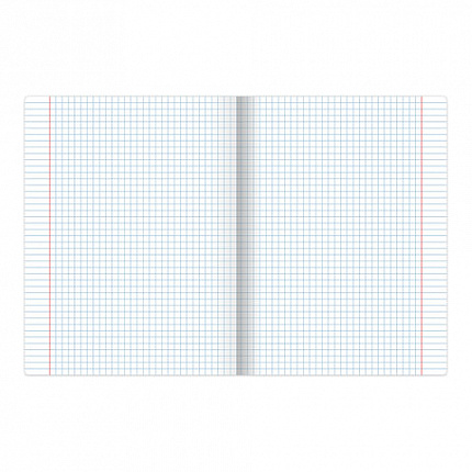 Тетрадь А5, 48 л., АЛЬТ, скоба, клетка, выборочный лак, "ЛЮКС" (5 видов), 7-48-721/1