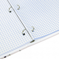 Тетрадь на кольцах БОЛЬШАЯ А4, 220х305 мм, 100 л., твердый картон, клетка, BRAUBERG, "Цветы", 405412