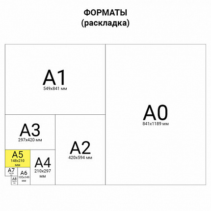 Тетрадь на кольцах А5 (175х215 мм), 240 листов, твердый картон, клетка, BRAUBERG, Cloud, 404094
