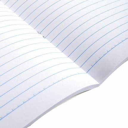 Тетрадь А4, 96 л., BRAUBERG, скоба, линия, обложка картон, "Природа", 404067