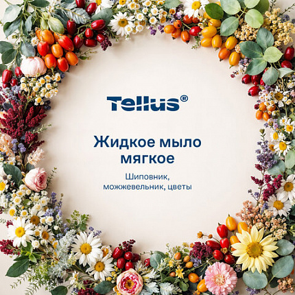 Картридж с жидким мылом одноразовый TORK (Система S2) Advanced, 0,475 л, мягкое, 420512