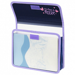 Папка для тетрадей ЮНЛАНДИЯ А5, пластик, 2 отделения, клапан на липучке, "Bored cat", 272189