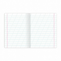 Тетрадь 12 л. BRAUBERG косая линия, обложка картон, CLASSIC, 107291