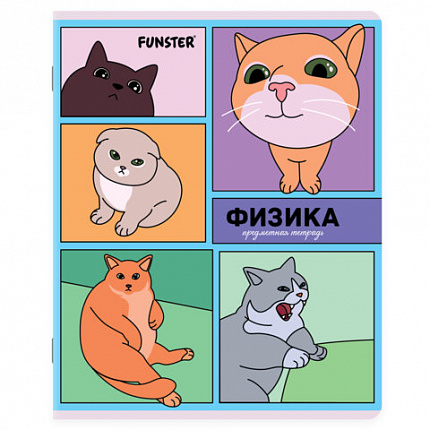 Тетради предметные, КОМПЛЕКТ 12 ПРЕДМЕТОВ, 48л, TWIN лак, FUNSTER, МЕМНЫЕ КОТЫ, 405604