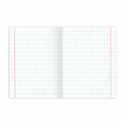 Тетрадь 12 л. BRAUBERG, косая линия, обложка картон, ЗВЕРУШКИ, 107289