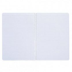 Тетрадь А4 96 л., HATBER, гребень, линия, обложка картон, "Вдохновение вокруг" (микс в спайке), 088816, 96Т4В2гр