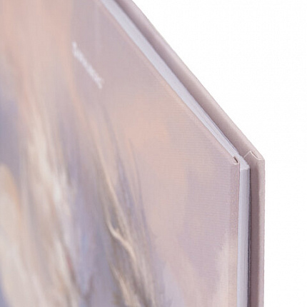 Дневник 1-11 класс 40 л., твердый, BRAUBERG, матовая ламинация, "Magic World", 107174