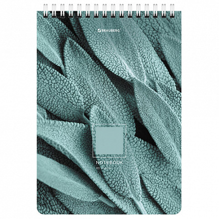 Блокнот А5 (146х206 мм), 80 л., гребень, картон, клетка, BRAUBERG, "Яркие листья", 114372