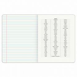 Тетрадь предметная DOG БОБИК 48 л., TWIN-лак, РУССКИЙ ЯЗЫК, линия, подсказ, BRAUBERG, 404791