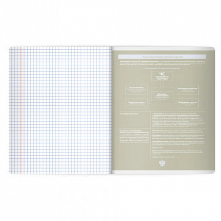 Тетрадь предметная MonoPastel 48л, пластиковая обложка, ОБЗР, клетка, подсказ, BRAUBERG, 405513