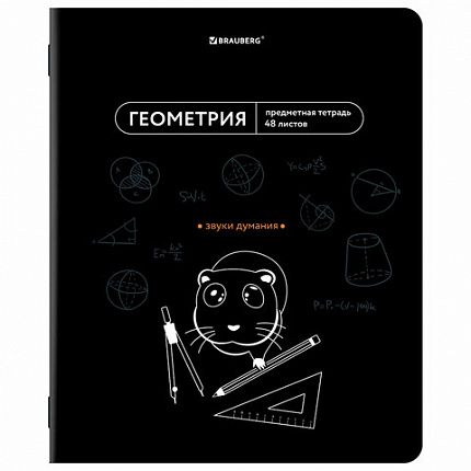 Тетради предметные, КОМПЛЕКТ 12 ПРЕДМЕТОВ, 48 л., TWIN-лак, BRAUBERG "МЕМЫ", 405172