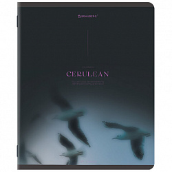 Тетрадь А5, 48 л., BRAUBERG, скоба, клетка, SoftTouch, "Peaceful", (микс в спайке), 405327